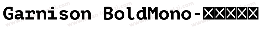 Garnison BoldMono字体转换